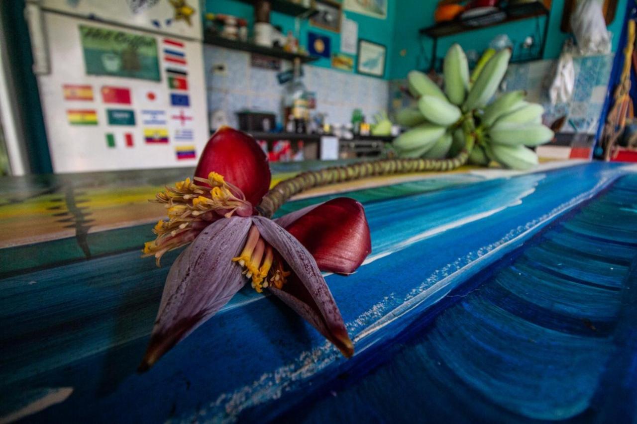 Farah Hostel Suites Camping Smartcamp E Passeio De Barco ボイスカンガ エクステリア 写真