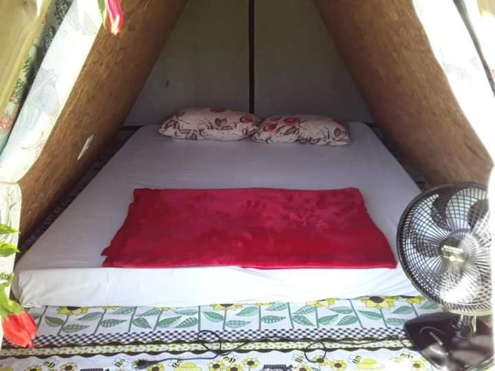 Farah Hostel Suites Camping Smartcamp E Passeio De Barco ボイスカンガ エクステリア 写真