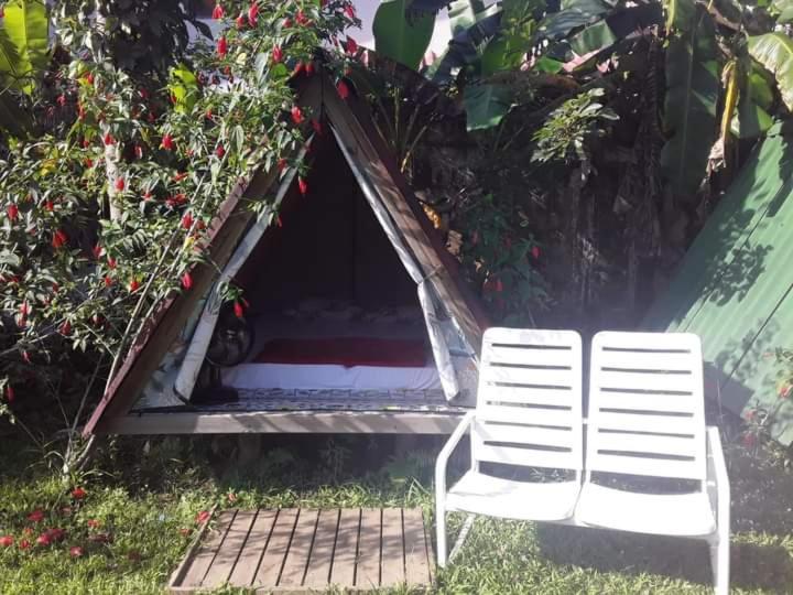 Farah Hostel Suites Camping Smartcamp E Passeio De Barco ボイスカンガ エクステリア 写真